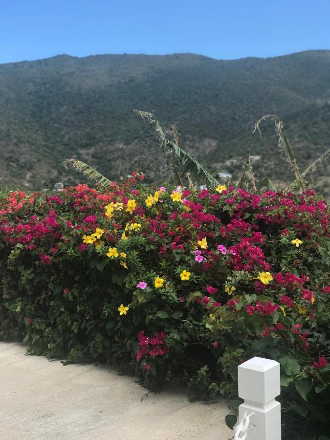 Ocean View Villas Jost Van Dyke Экстерьер фото